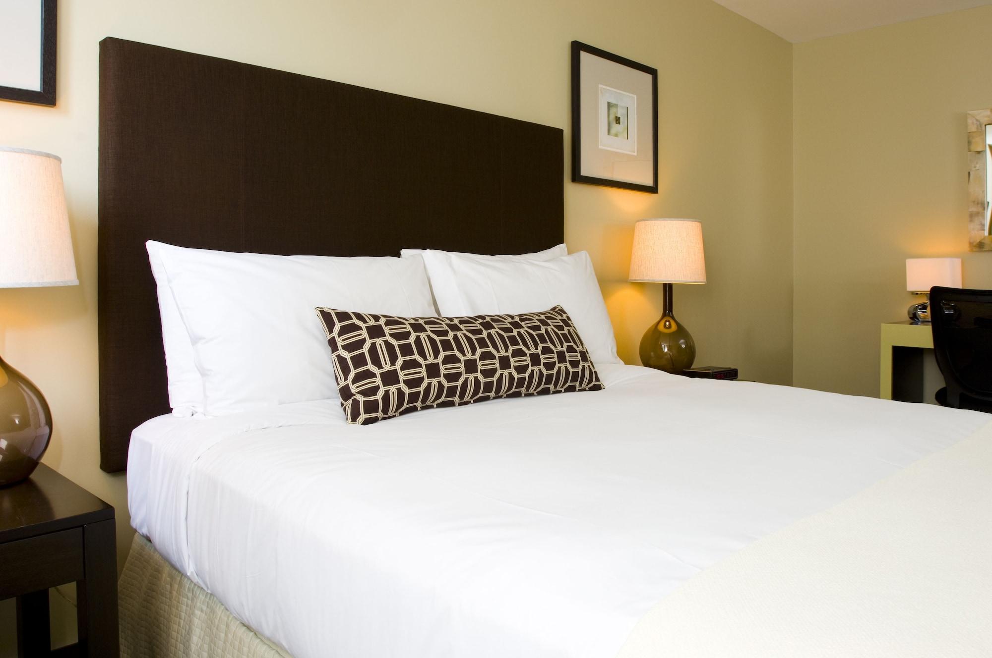 Inn Of Chicago Phòng bức ảnh
