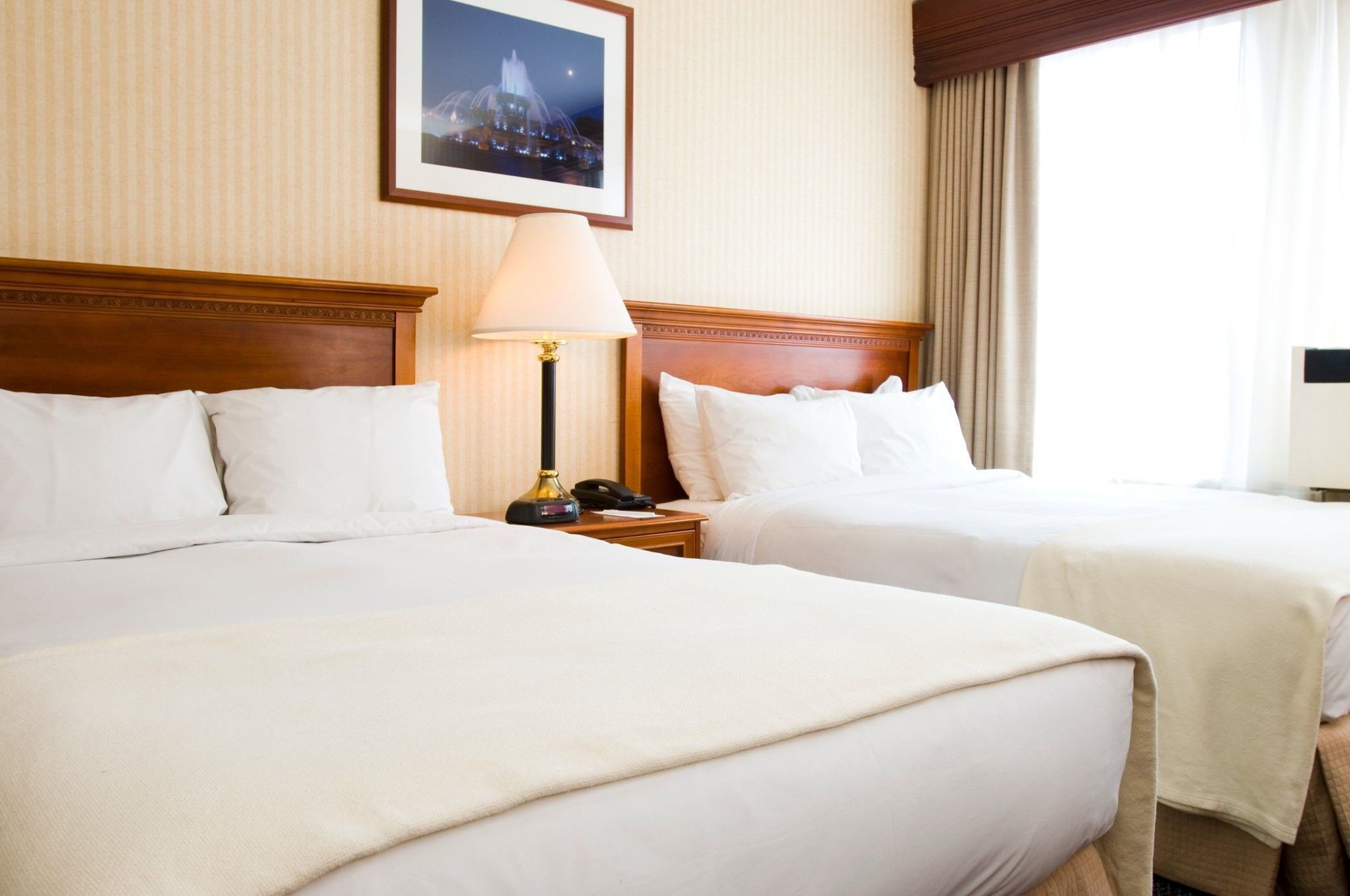 Inn Of Chicago Phòng bức ảnh